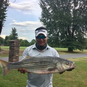 Meet your Posher, @chiamsachang